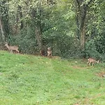 Sejour Au Coeur Des Coteaux, Proche Pau Villa *