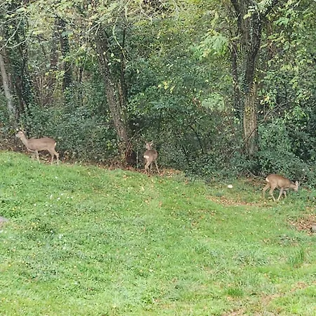 8 Personnes Proche Pau Et Pyrenees Willa *