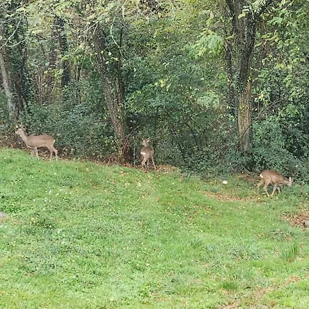 8 Personnes Proche Pau Et Pyrenees Willa *
